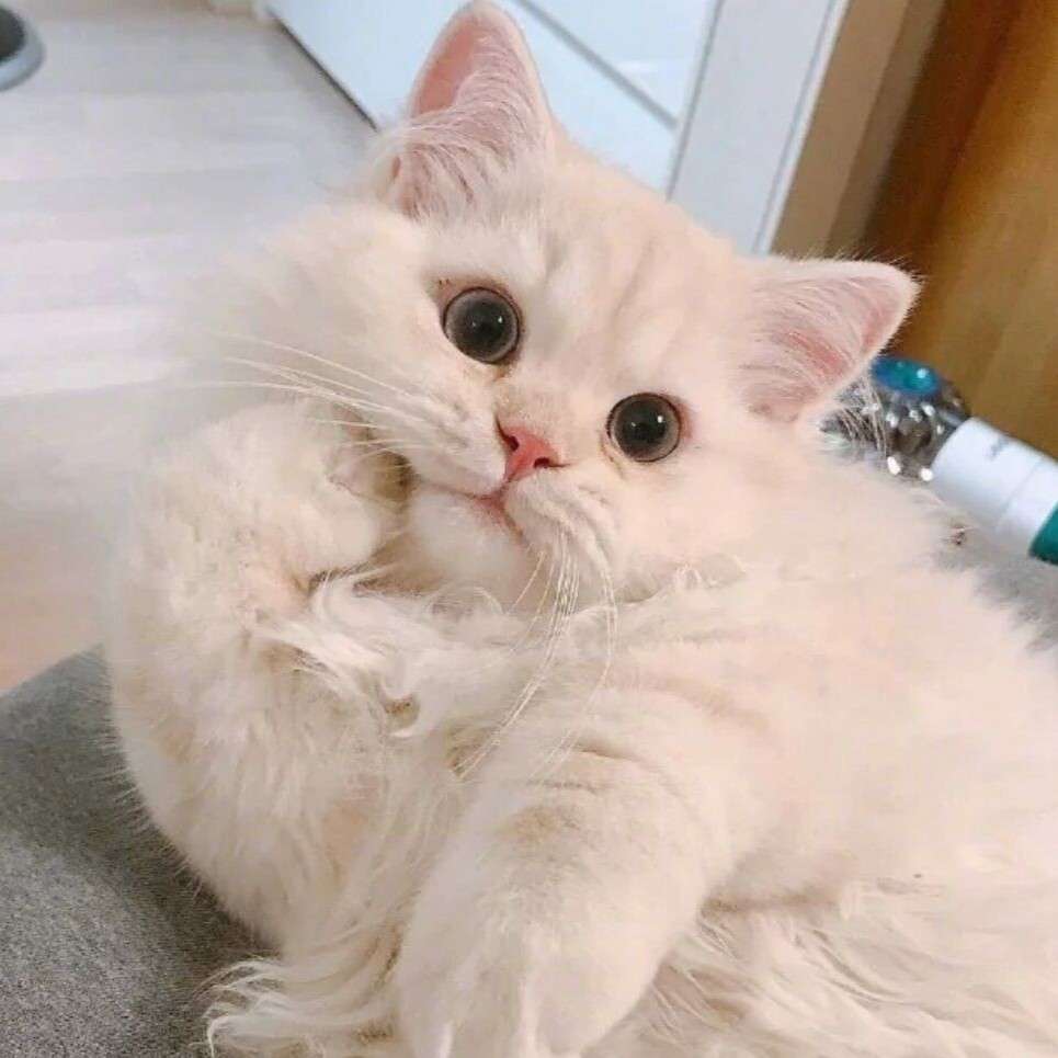 西洲