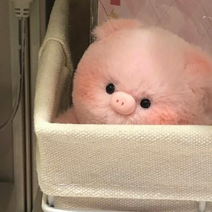 沈知半