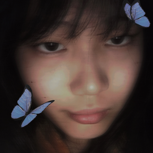 沈衾浅
