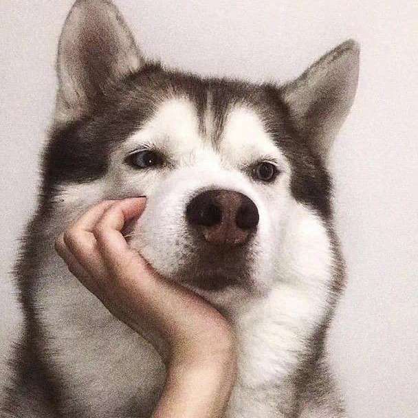 崔崔