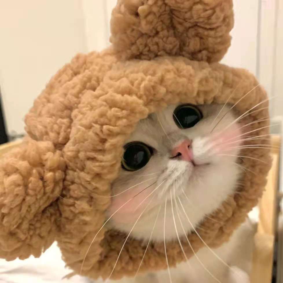 清辰