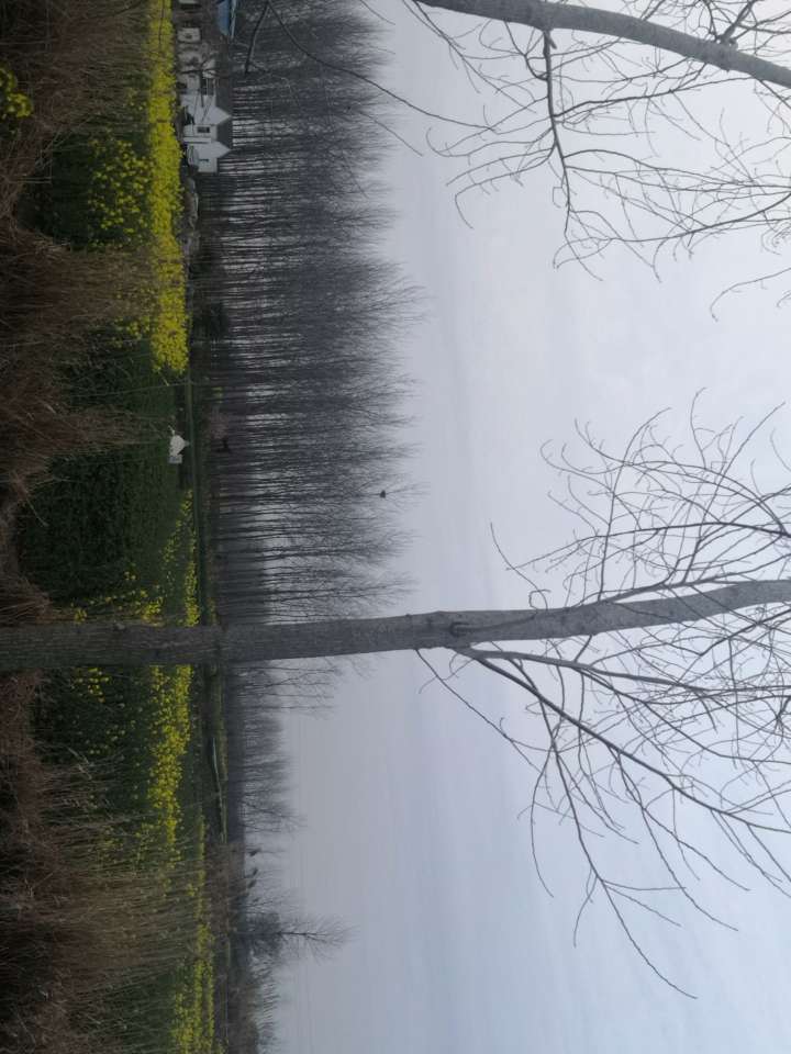 药取自白