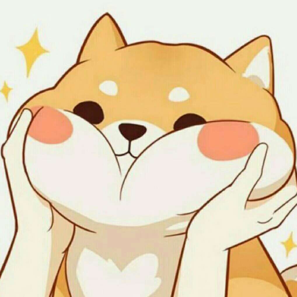 袁怡娜