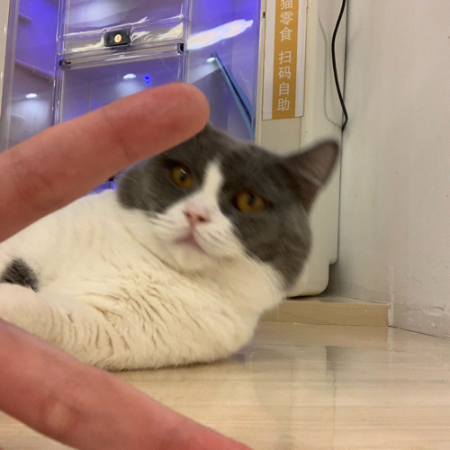 玄子还活着