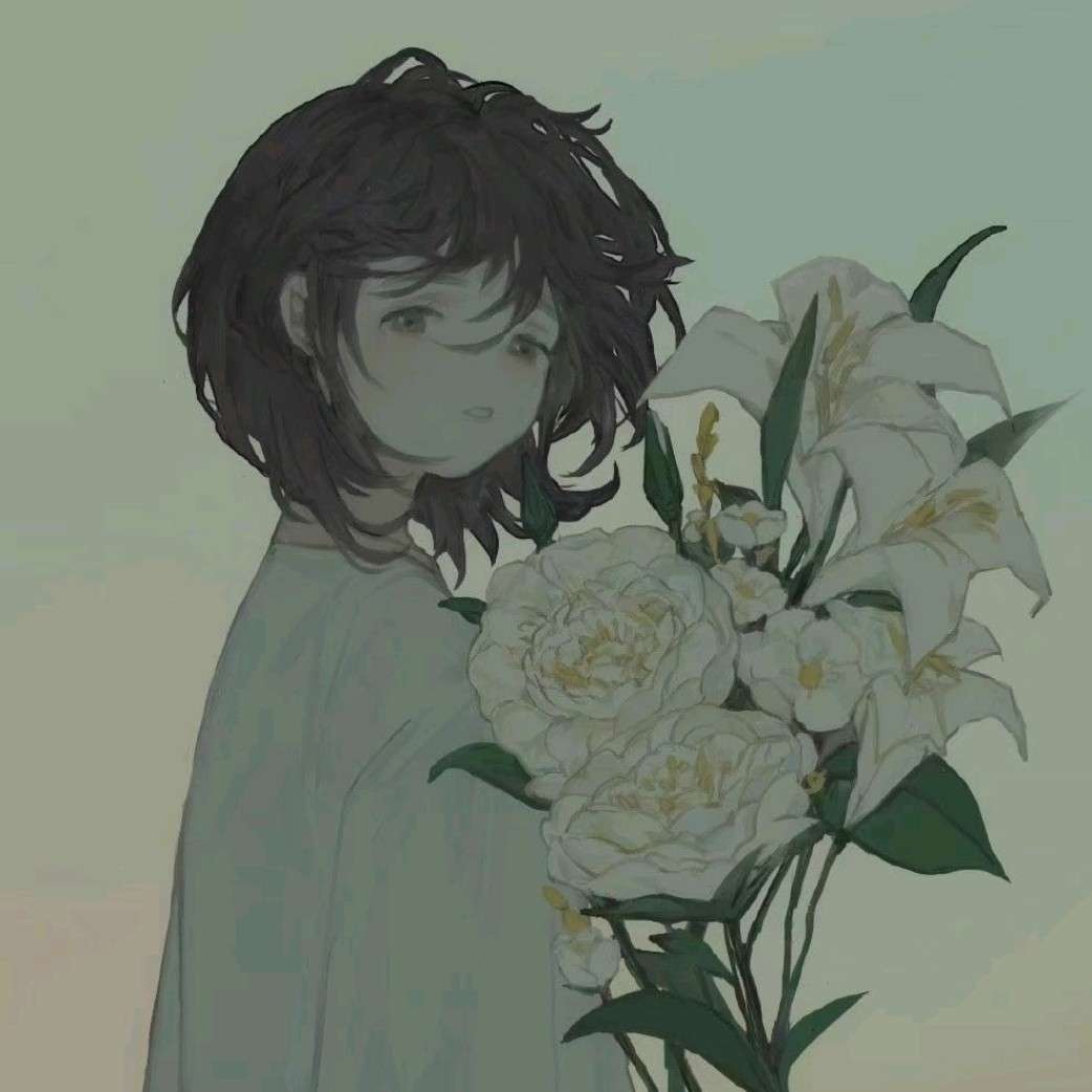 可可西里