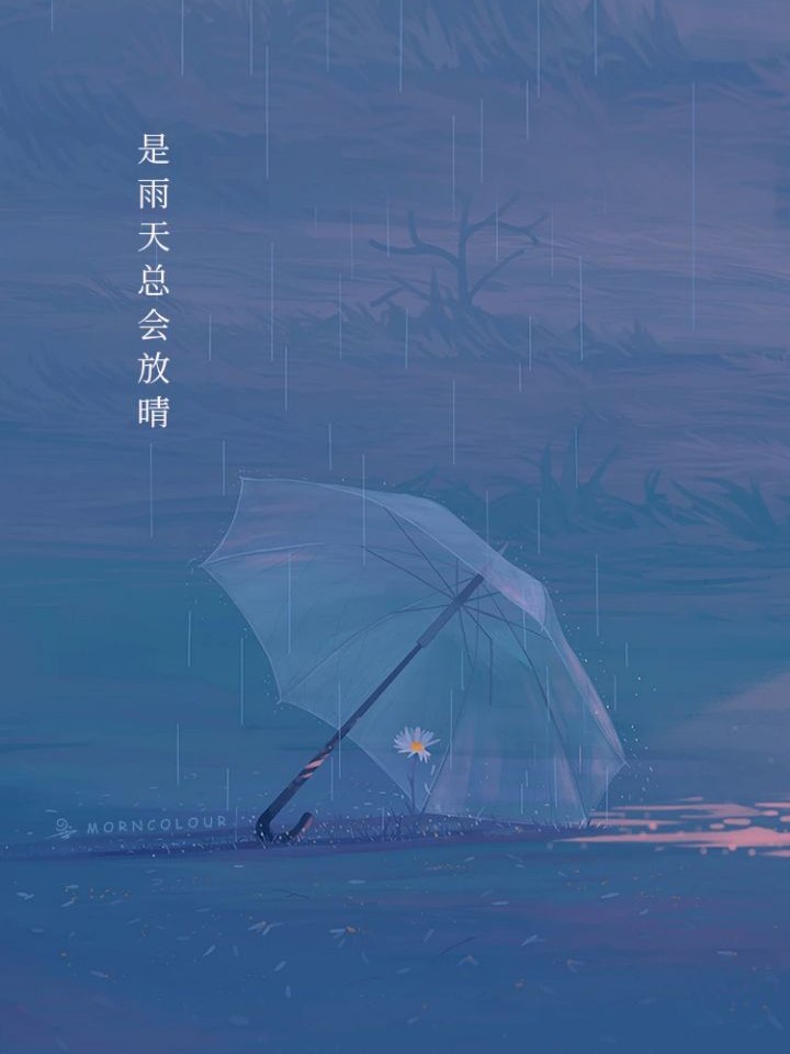 木槿