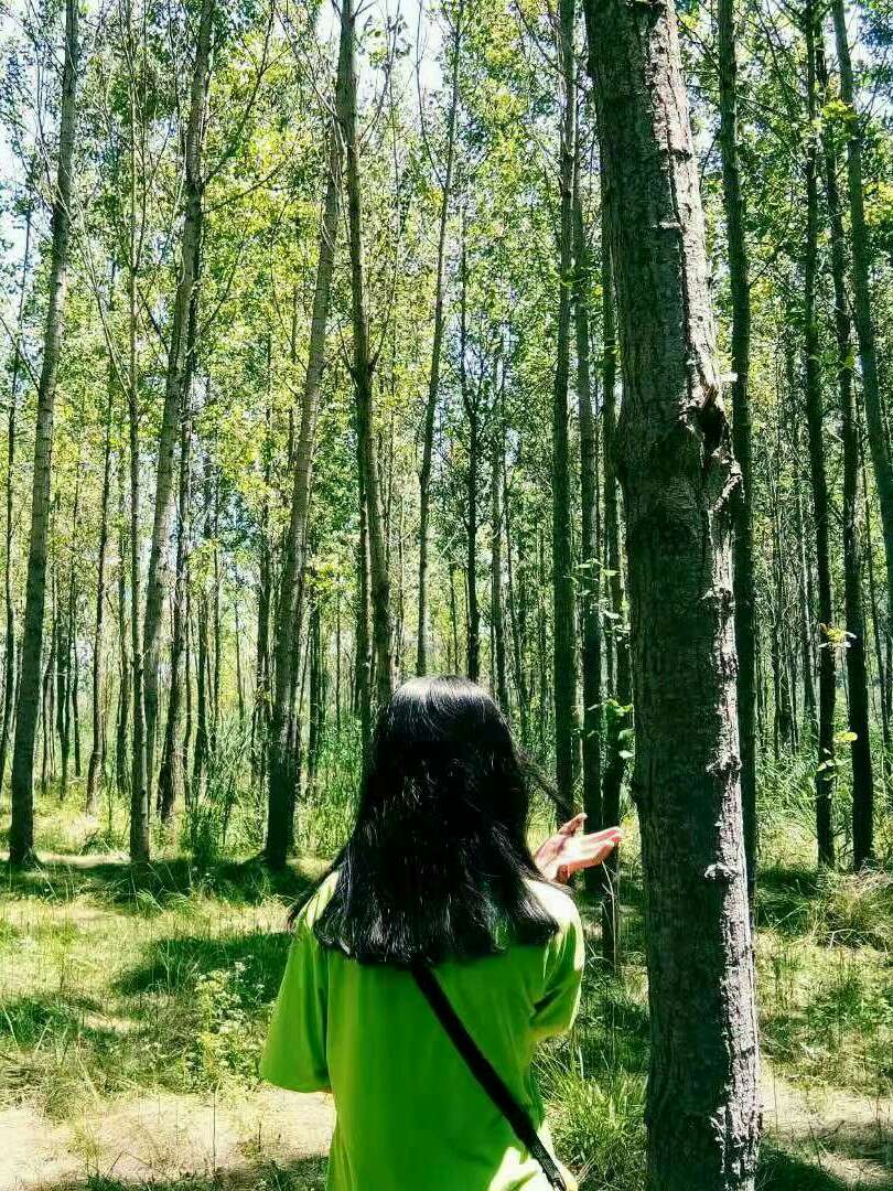 .小赵✨