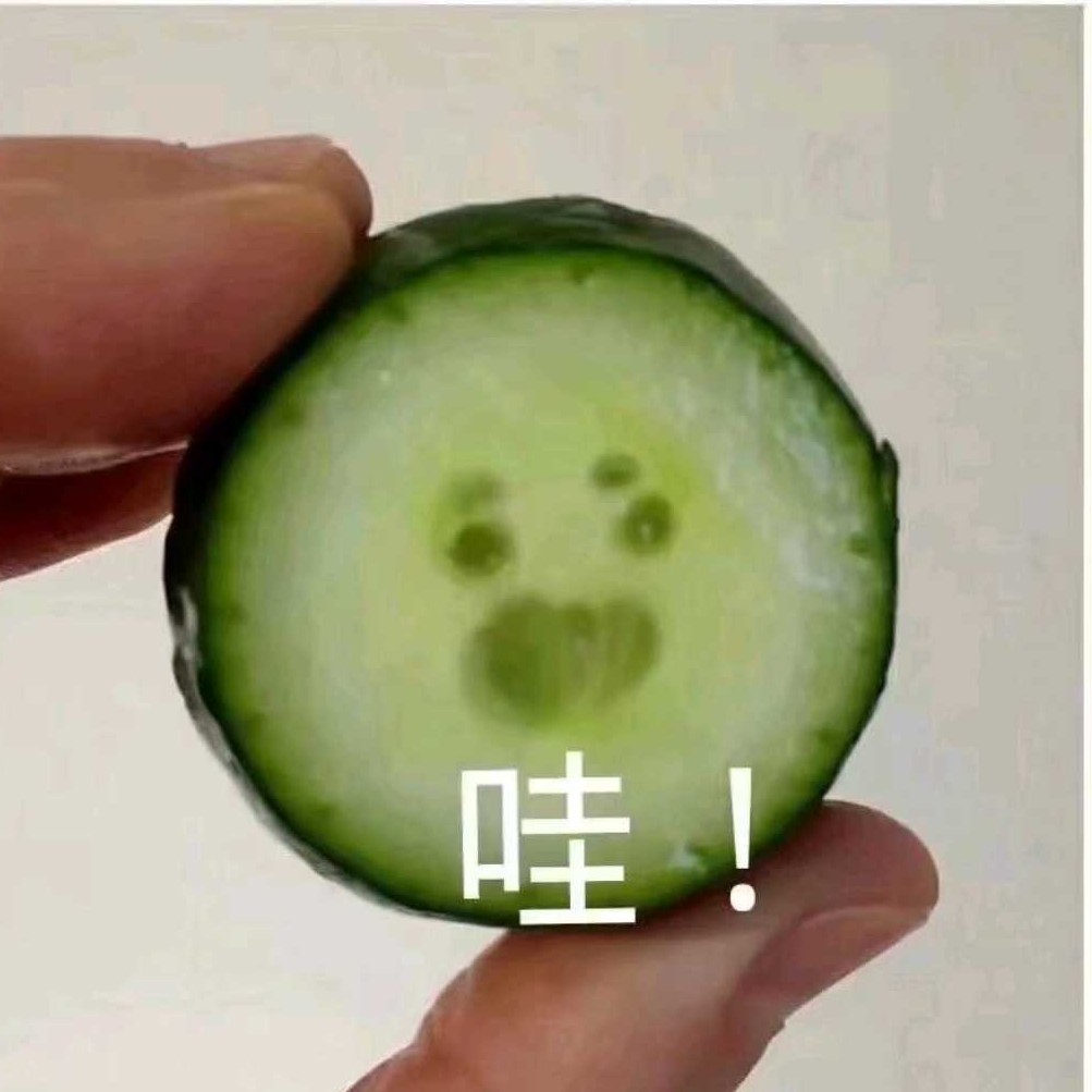 楠玥.