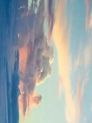 稚楚
