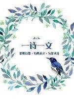 一诗一文