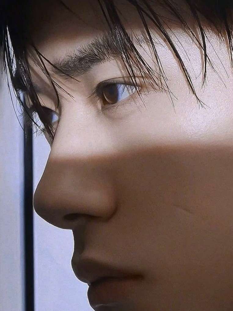 千纸鹤