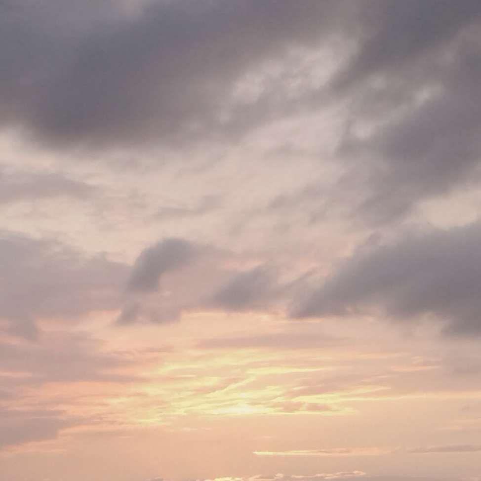 紫苜花