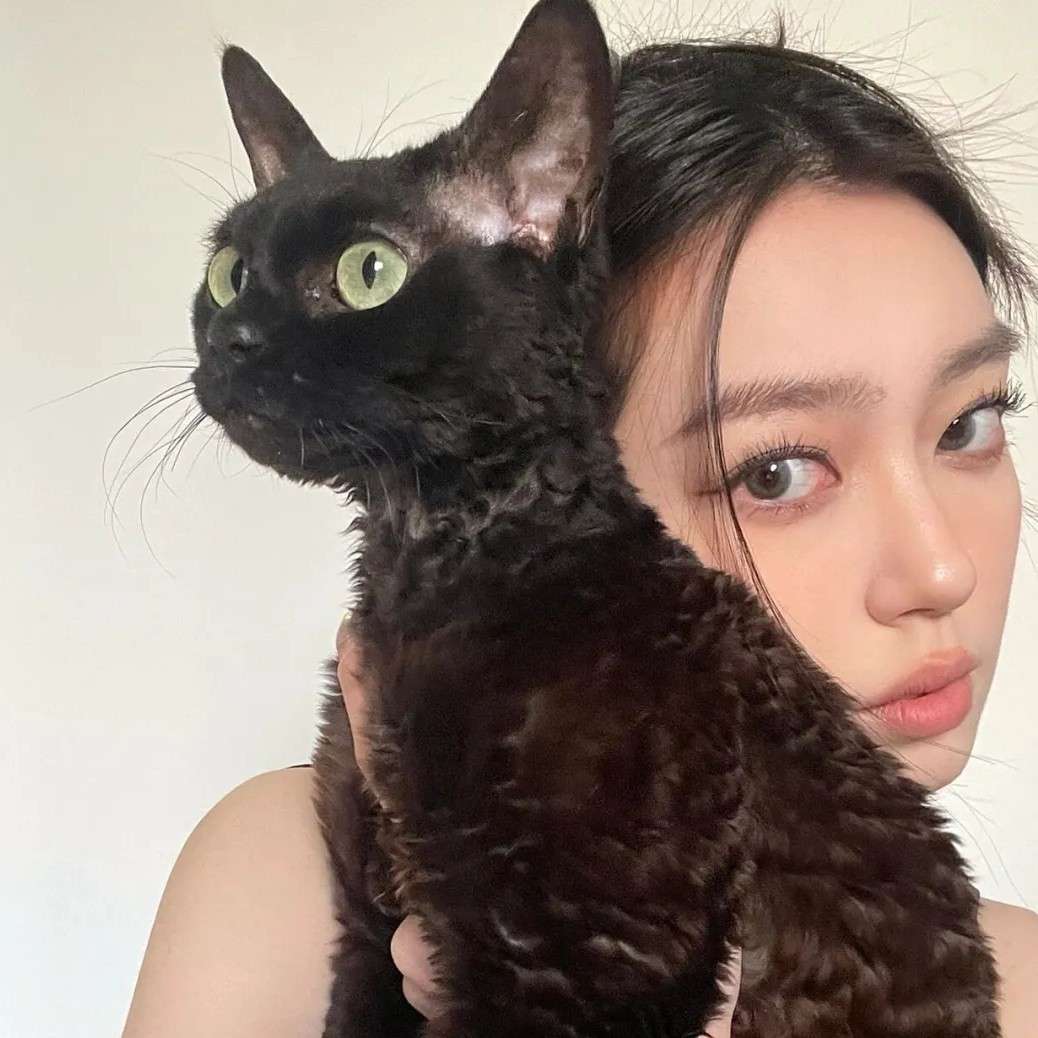 1个丸子