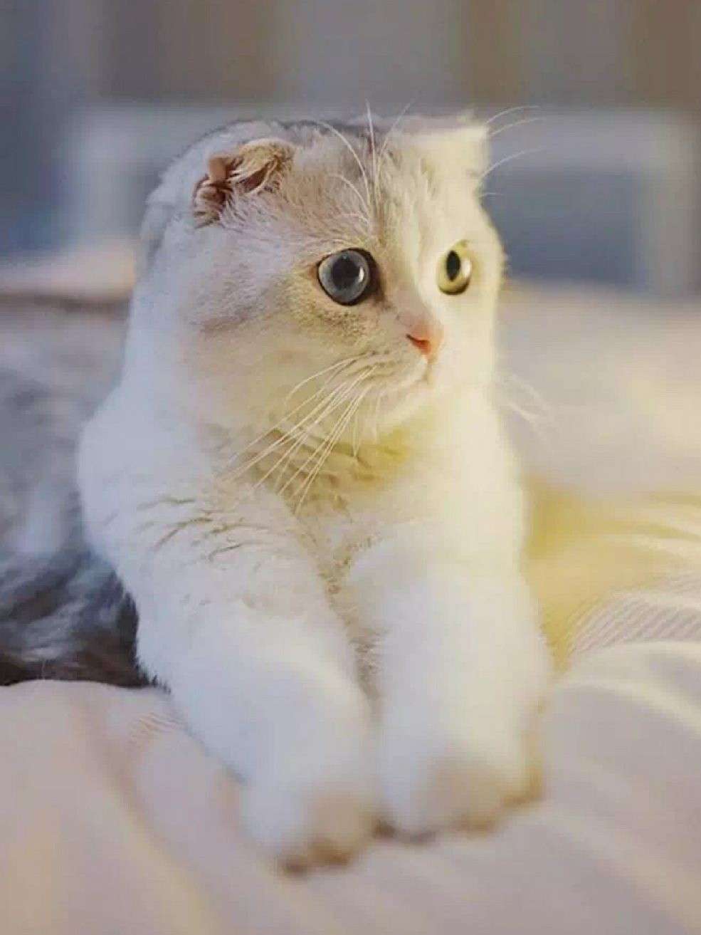 凉尘