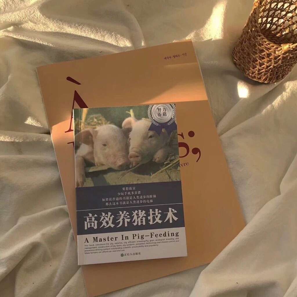 汐汐