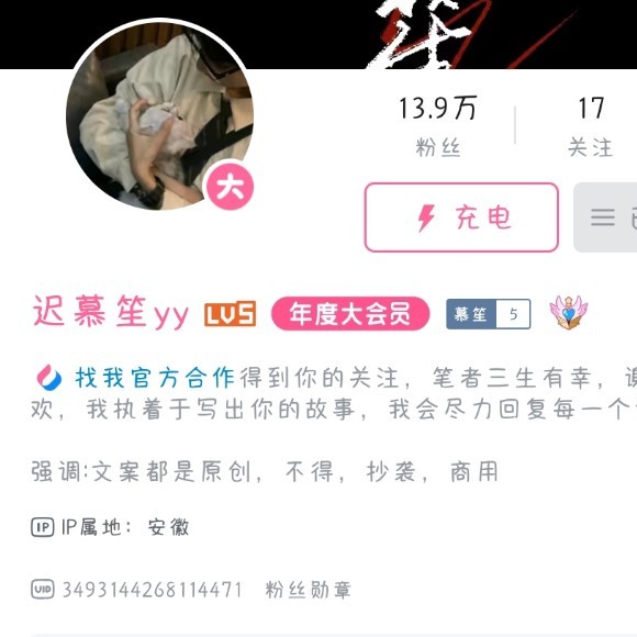 迟慕笙yy