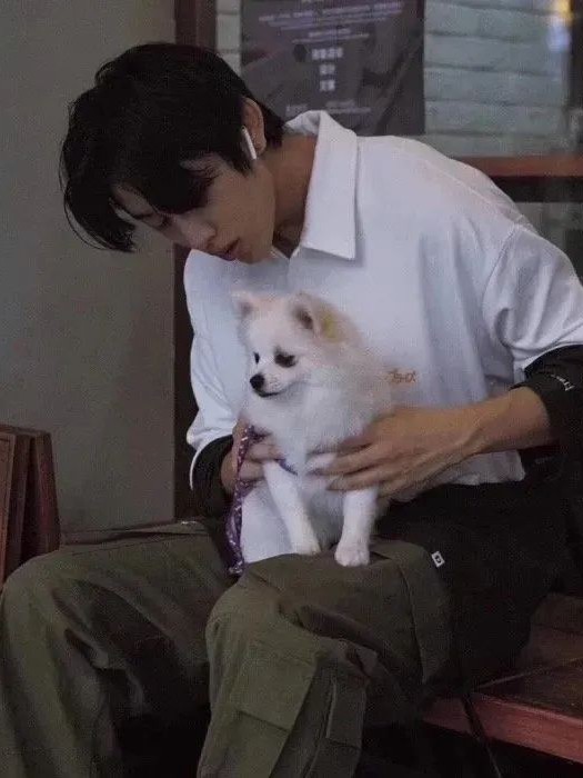 槐安少年&