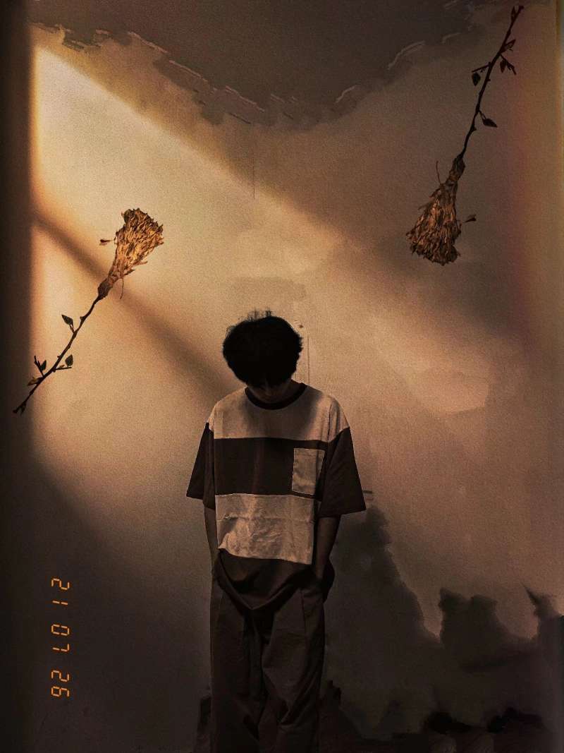 王落晨