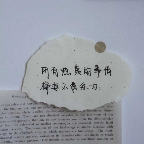 热点句子