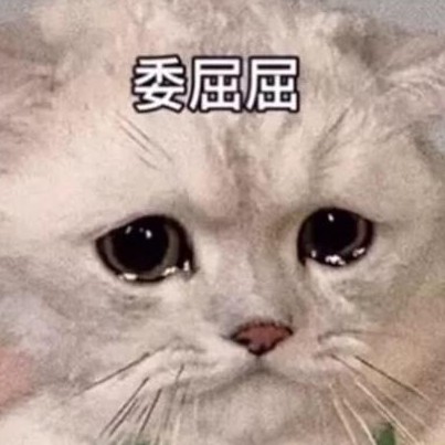 拾月