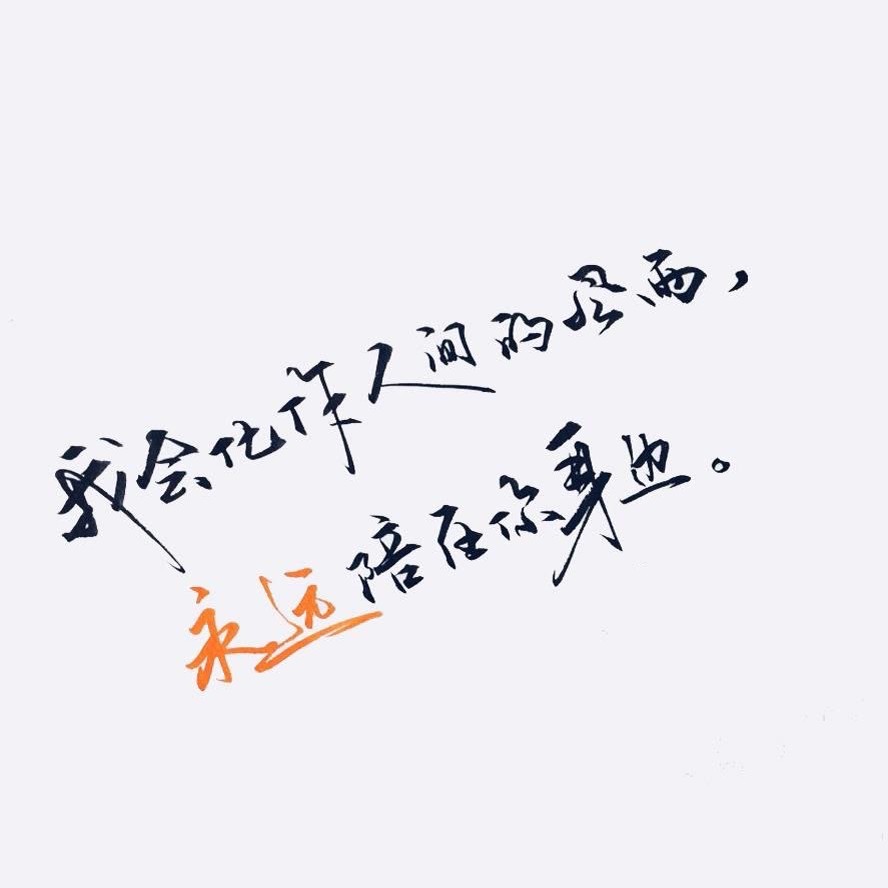 魇九
