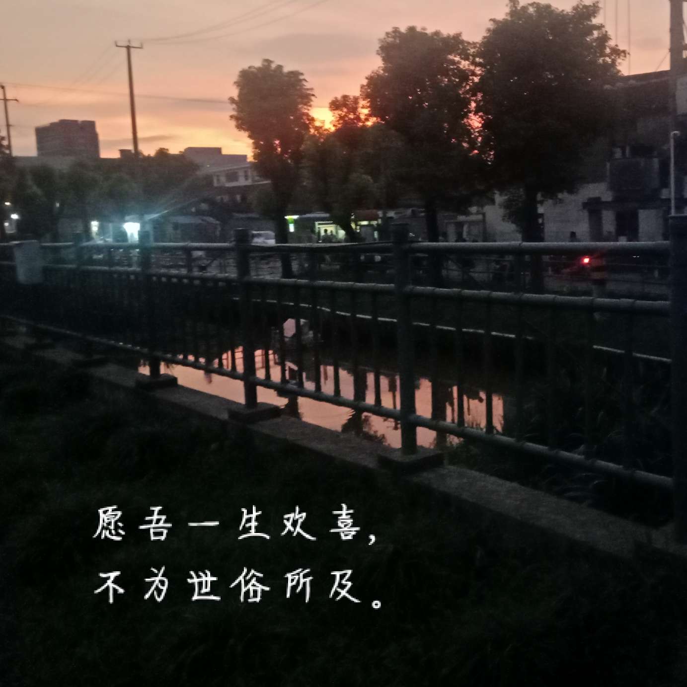 浮殇如梦