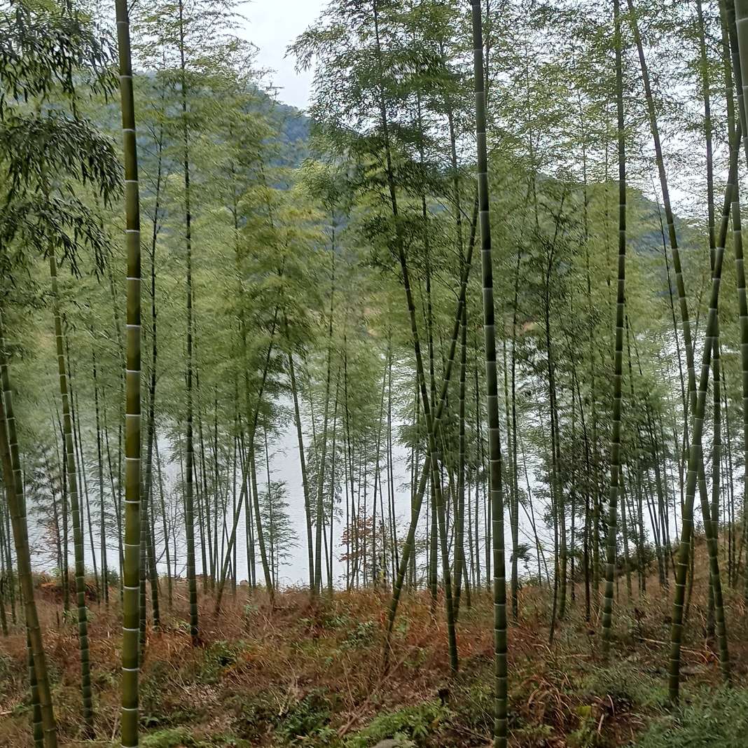 非常君