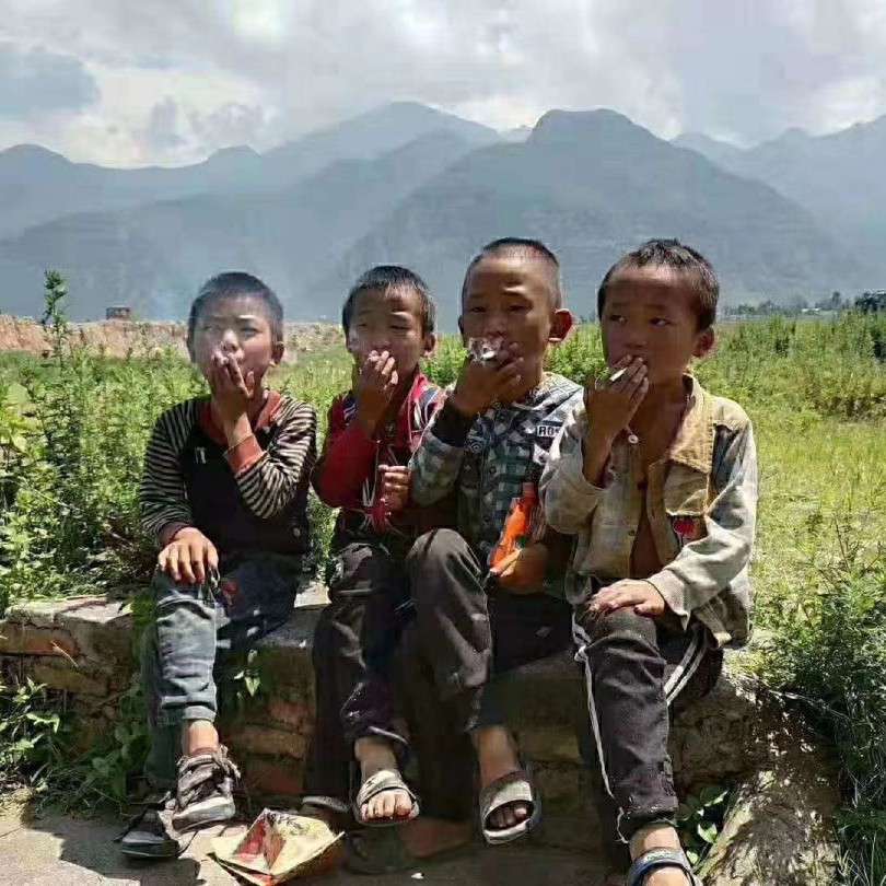 古诗文网