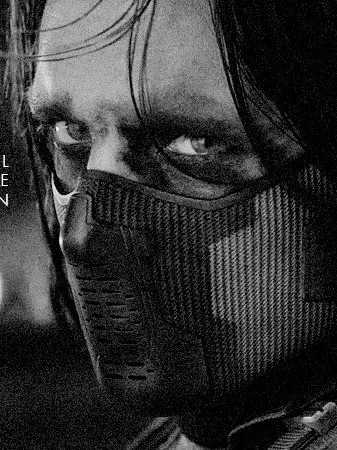 bucky