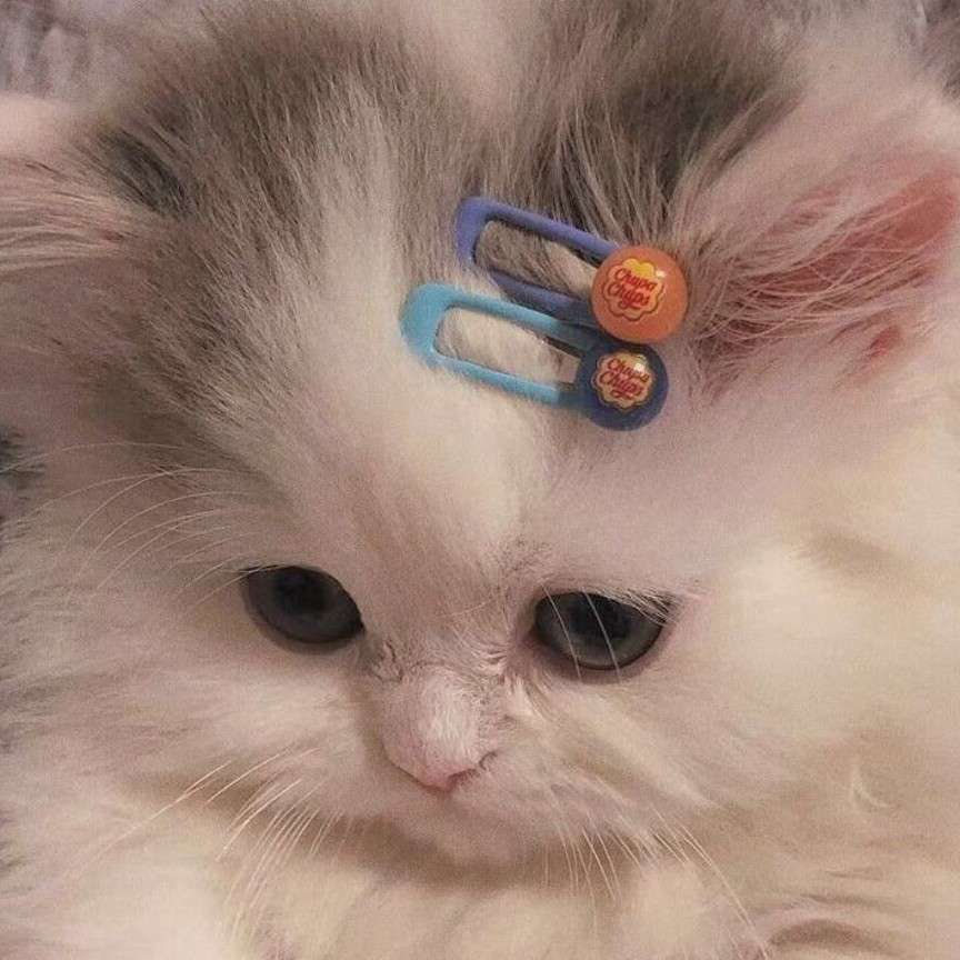 很久