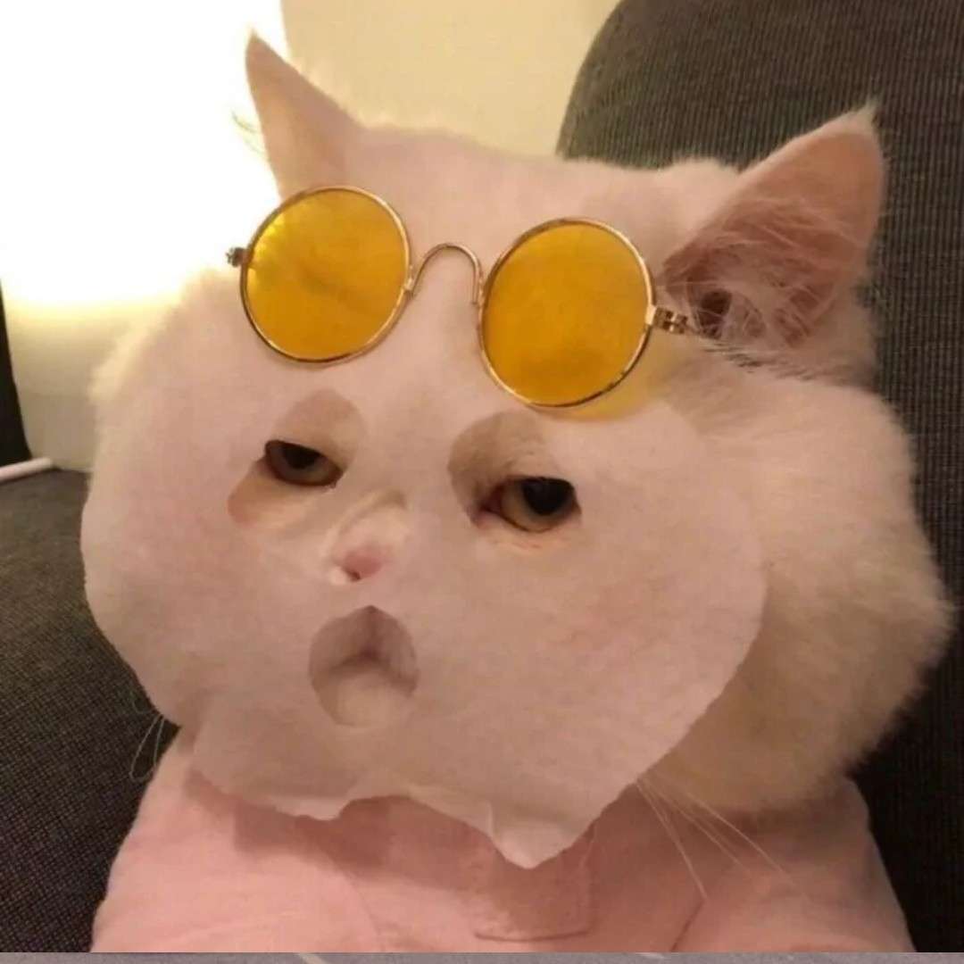 糟虾印