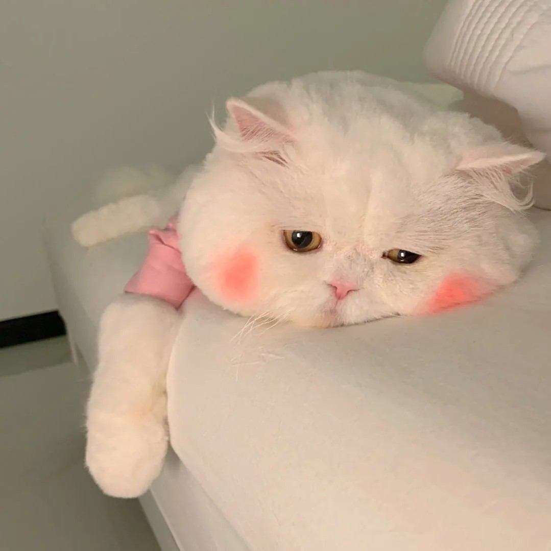 暮彝