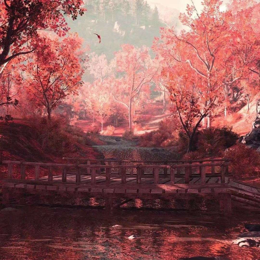 木木兮