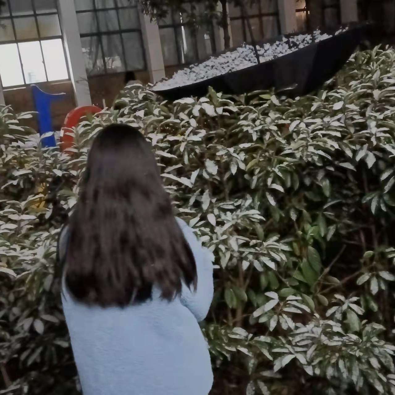 苏念