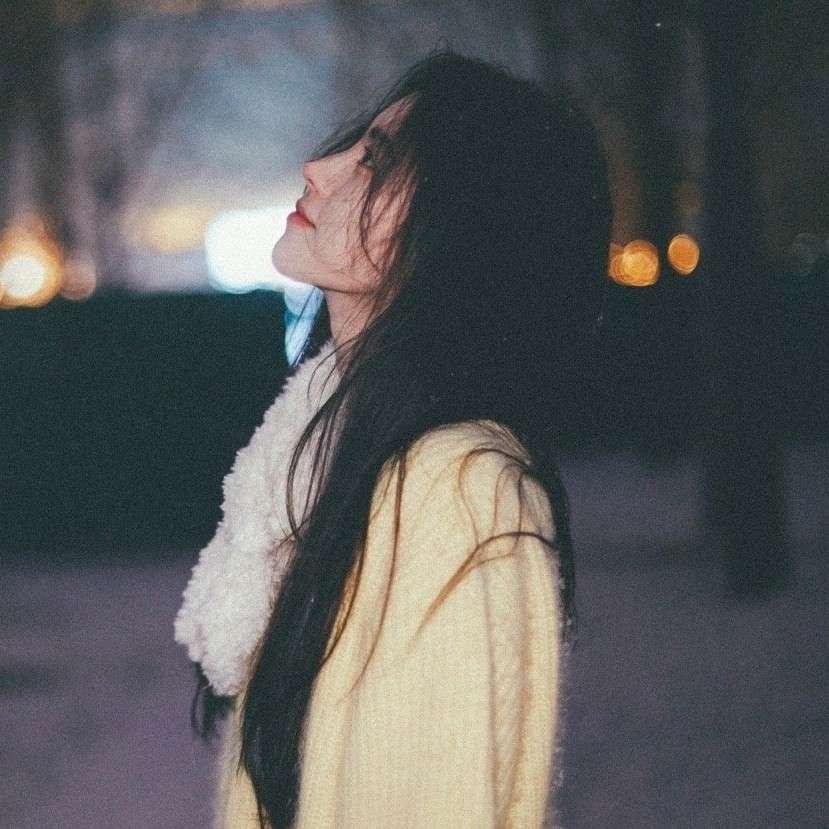 鸿雁来问