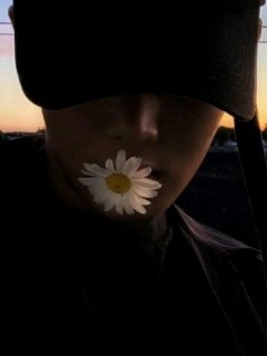 苏..
