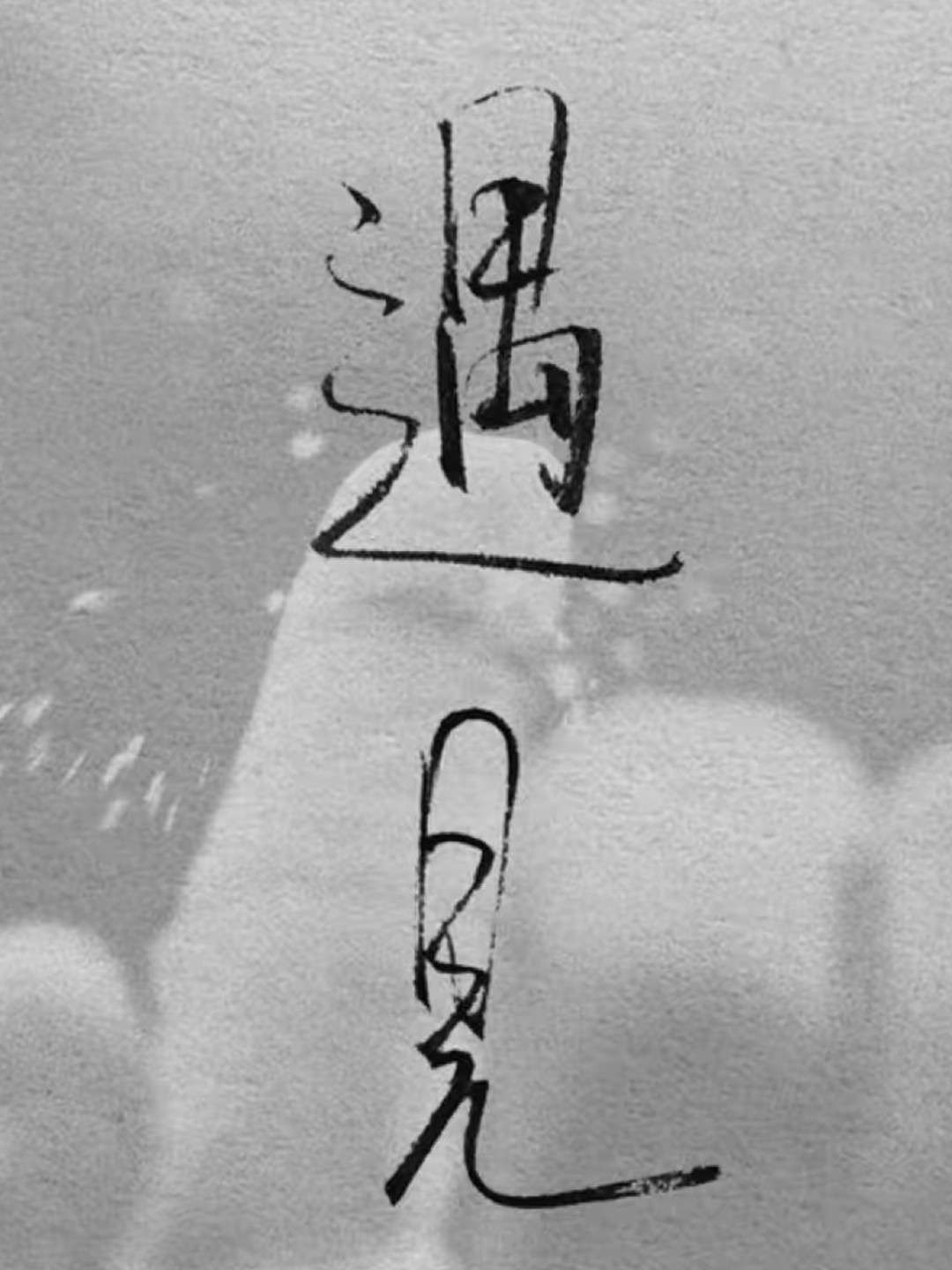 君生逐梦雨羽