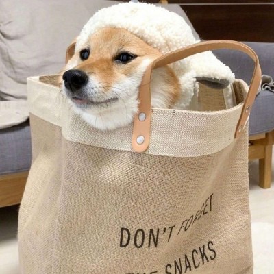 百晓峥嵘
