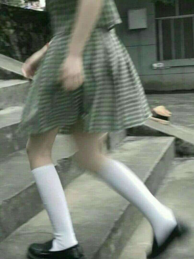 -沈苏辞-