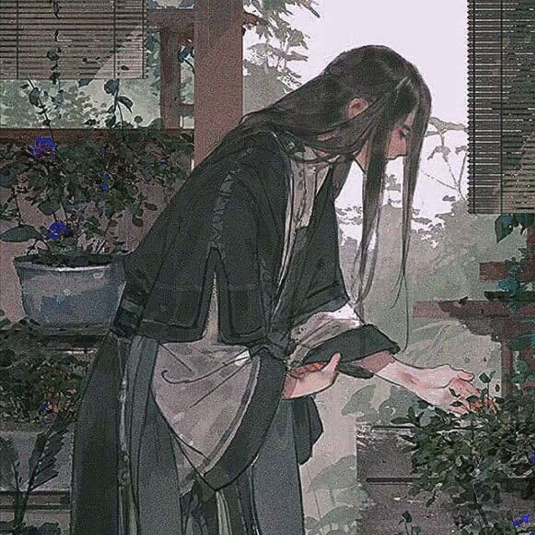 言卿