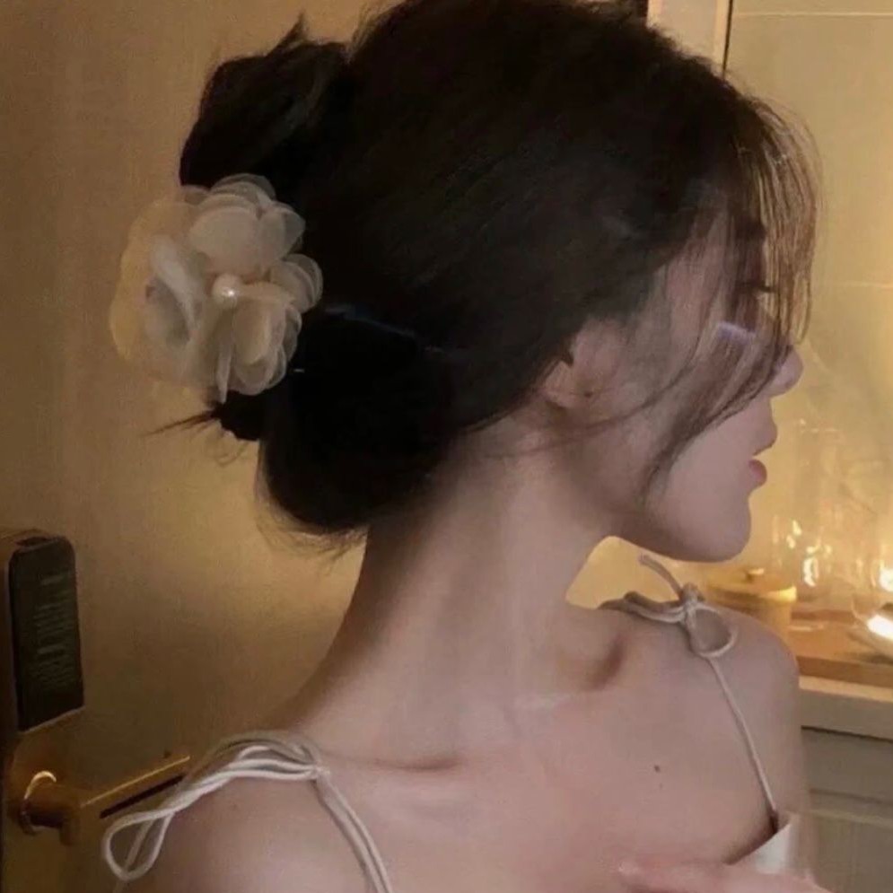 茳秞