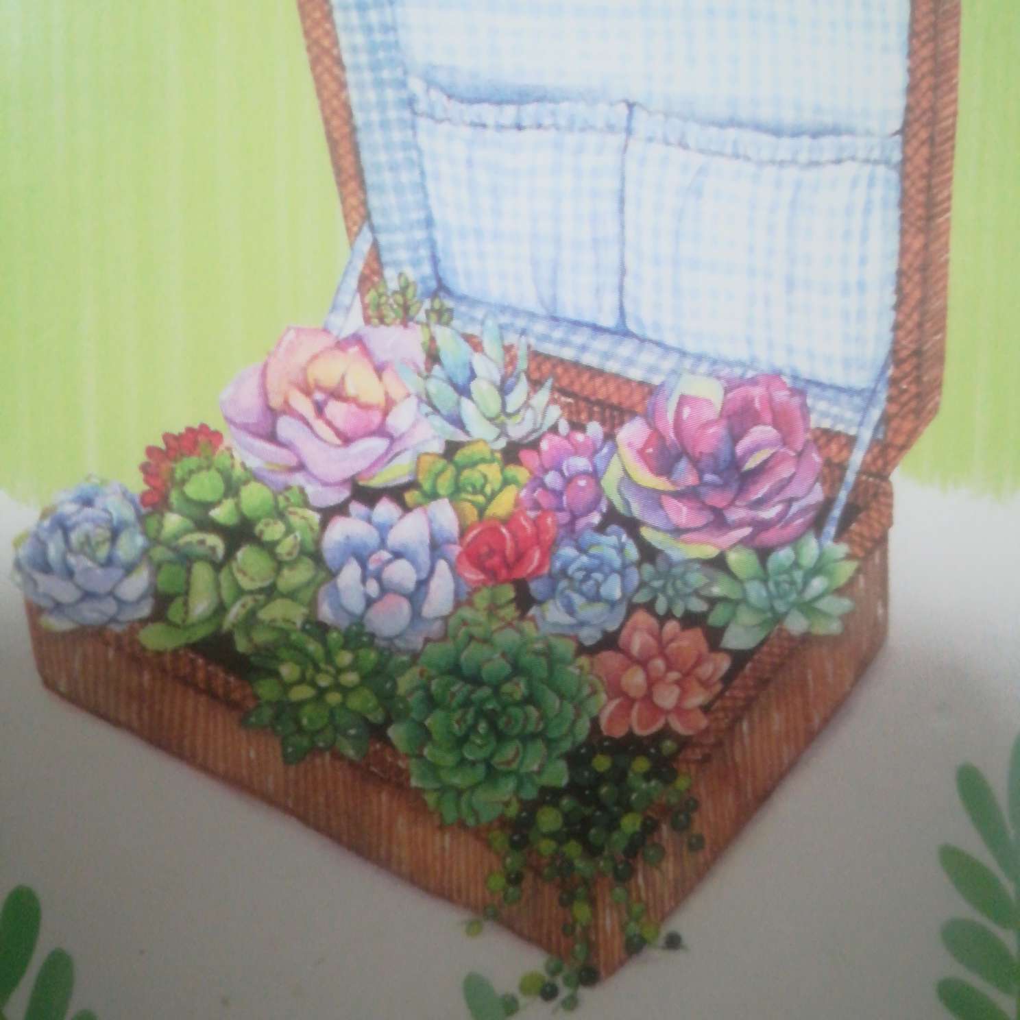 花语册