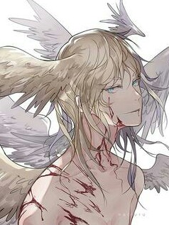 飞鸟了