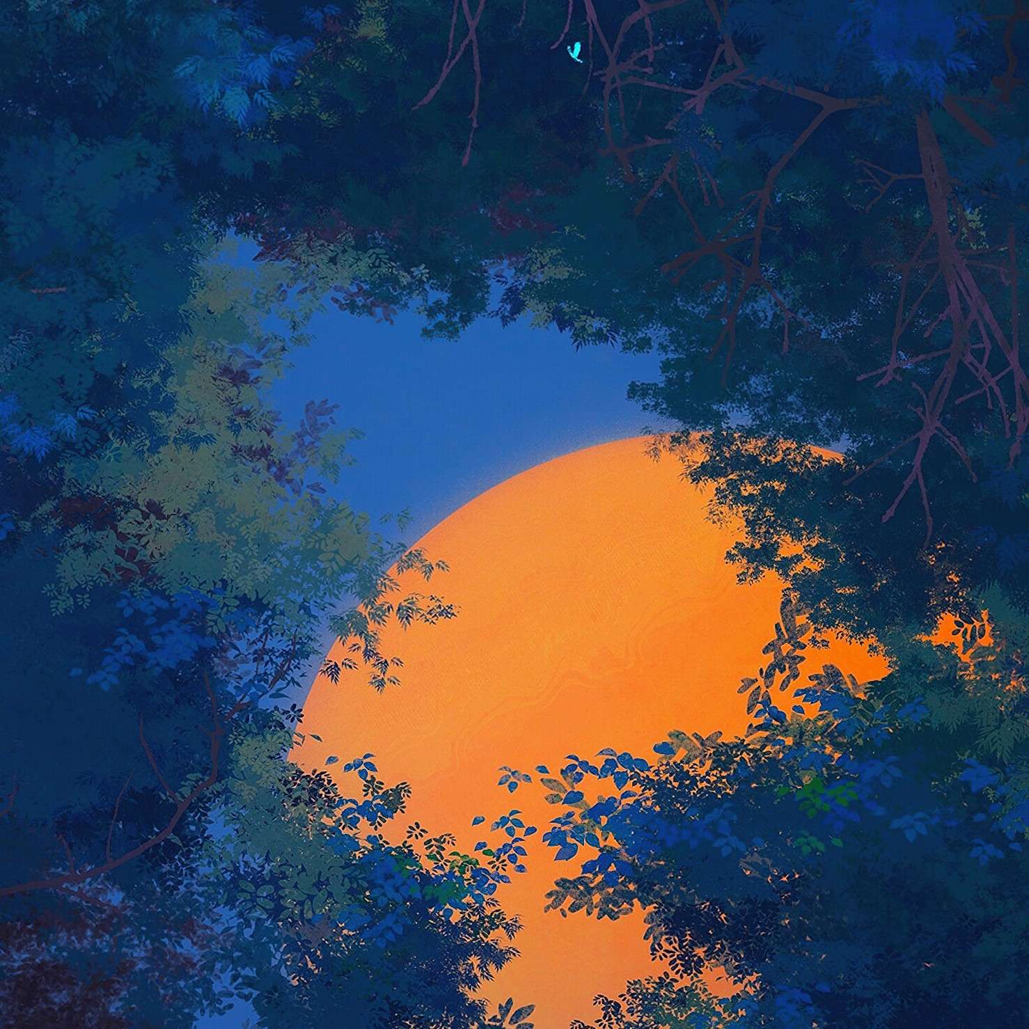 有鹿