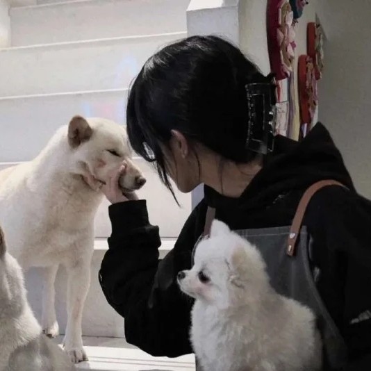 景衾