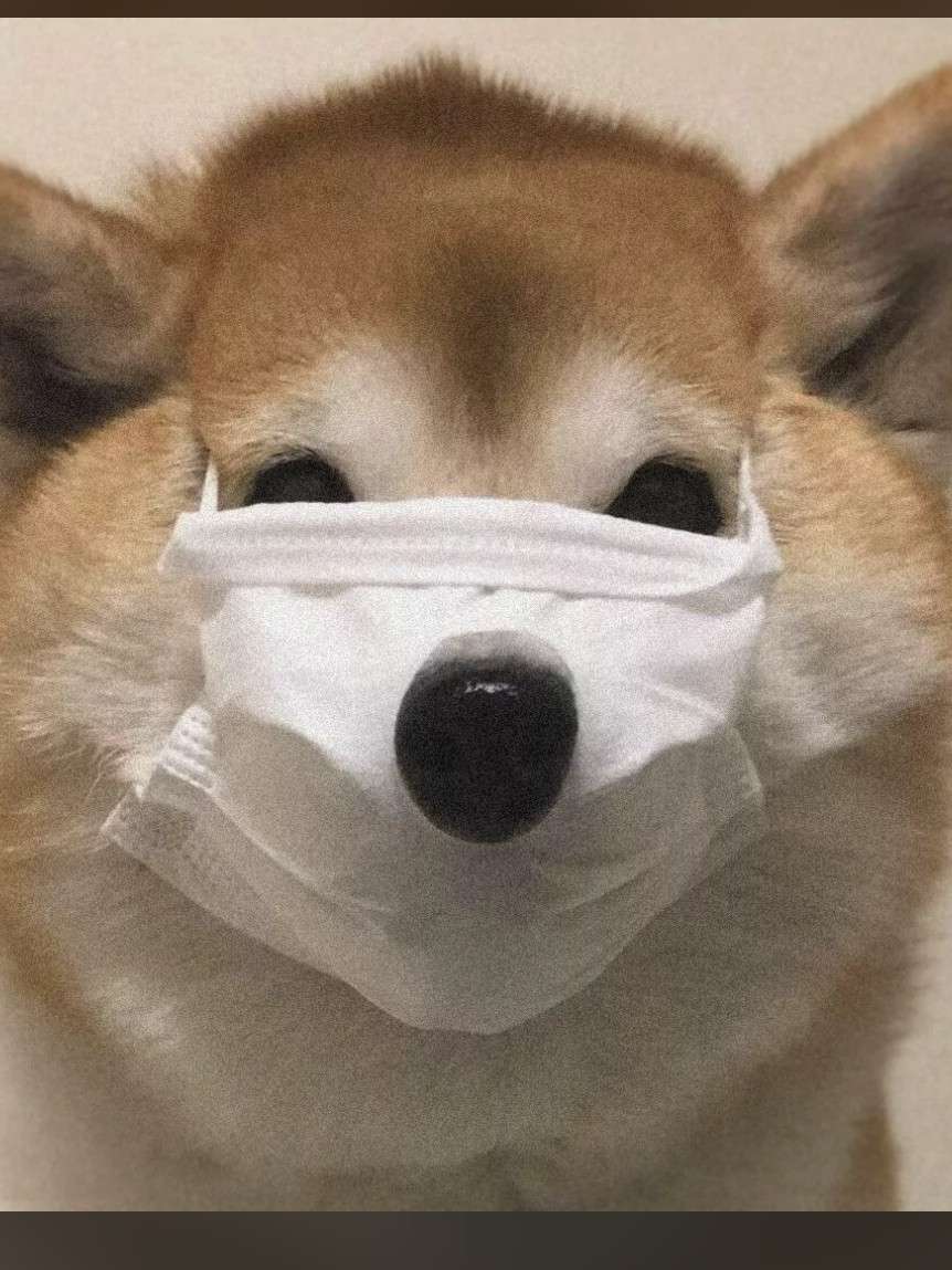 沈御苋