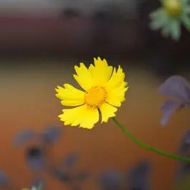 沉船