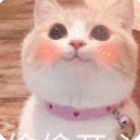 杯莫亭