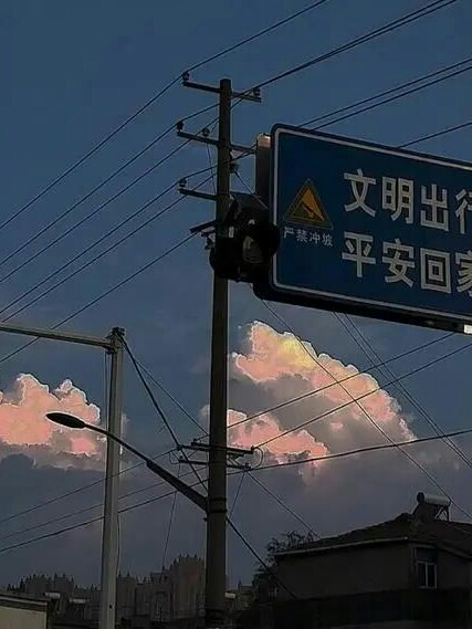 飘飘鸭