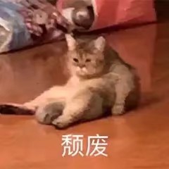 原po(我)